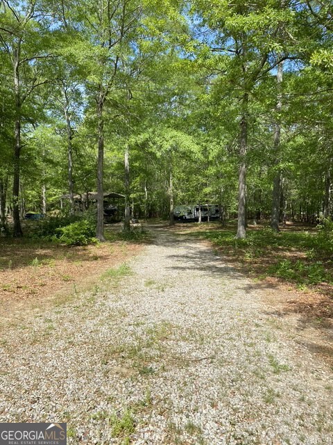 view of dirt / gravel driveway featuring a view of trees