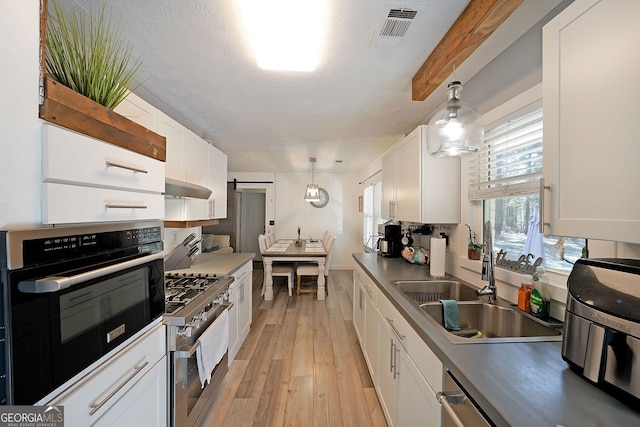 kitchen featuring visible vents, under cabinet range hood, light wood-type flooring, stainless steel appliances, and a sink