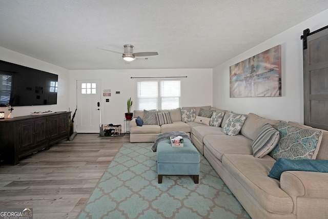 living room with a barn door, a ceiling fan, light wood finished floors, and a textured ceiling