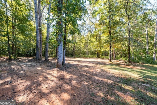 view of yard featuring a wooded view