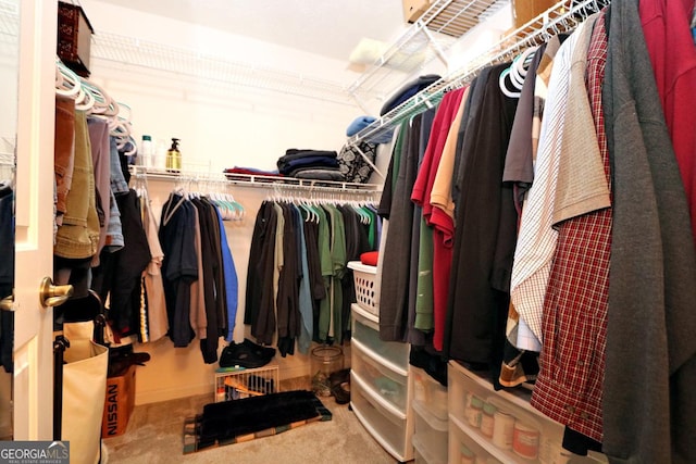 spacious closet featuring carpet floors