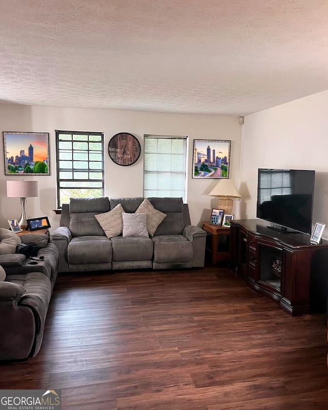 living area with a textured ceiling and dark wood-style flooring