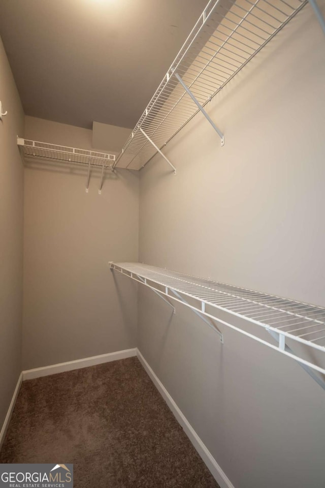 walk in closet featuring carpet floors