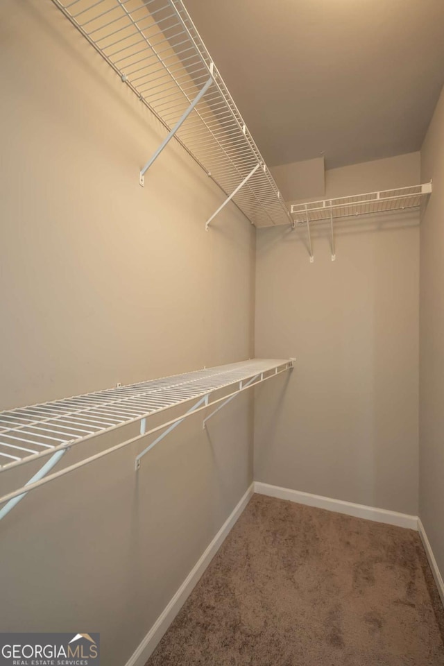 spacious closet with carpet flooring