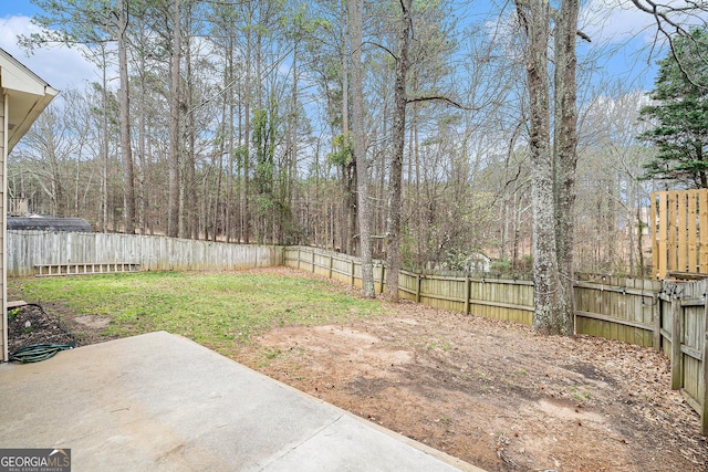 view of yard featuring a patio area and a fenced backyard