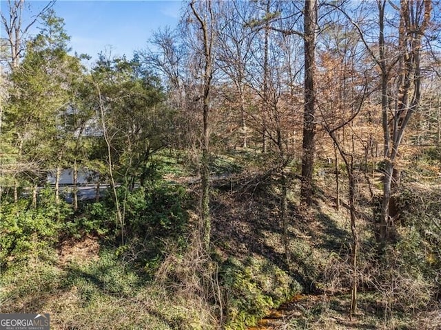 view of landscape featuring a wooded view