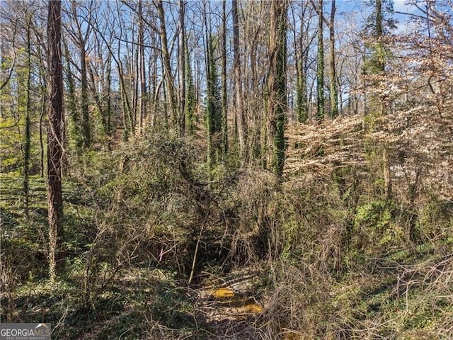 view of local wilderness with a wooded view