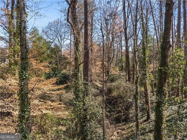 view of local wilderness with a forest view