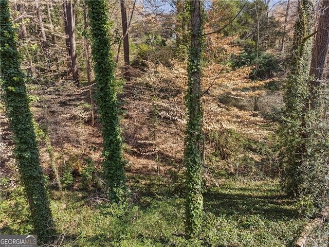 view of local wilderness featuring a forest view