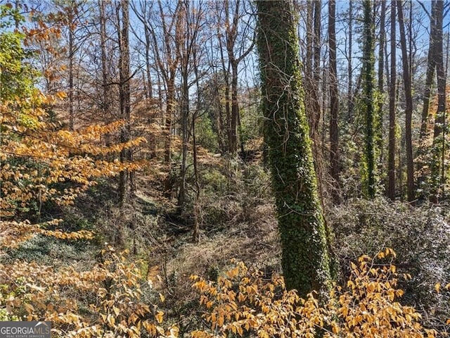 view of landscape featuring a wooded view