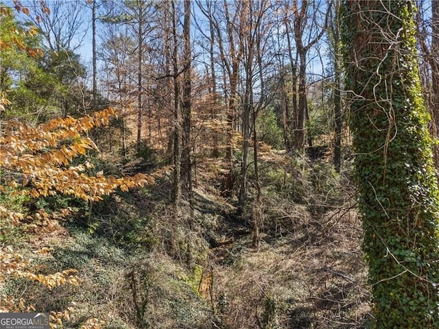 view of local wilderness with a forest view