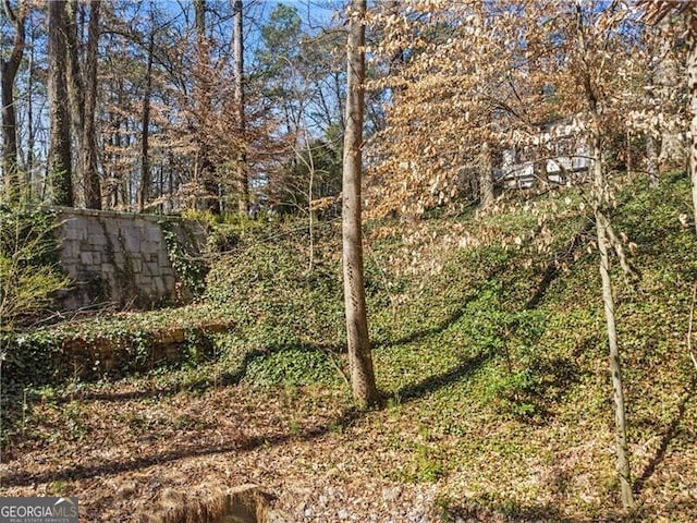 view of nature featuring a forest view