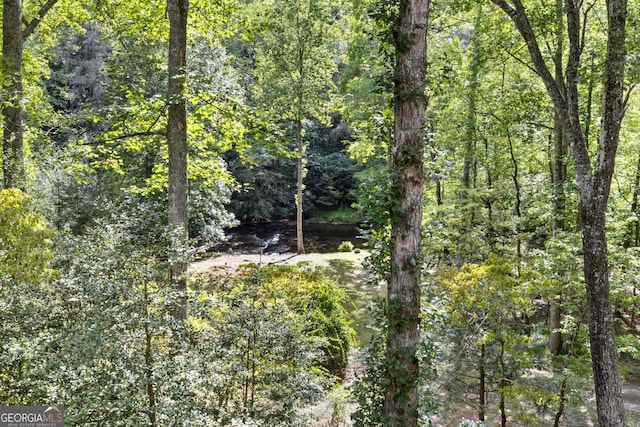 view of nature with a wooded view