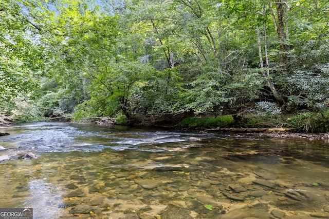 property view of water featuring a wooded view