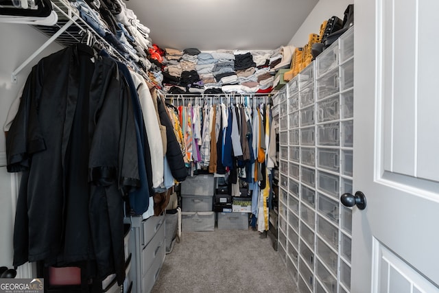 spacious closet with carpet