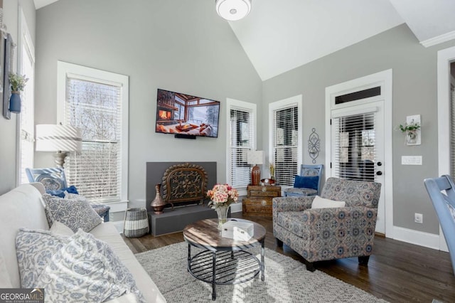 living area with baseboards, high vaulted ceiling, a healthy amount of sunlight, and wood finished floors