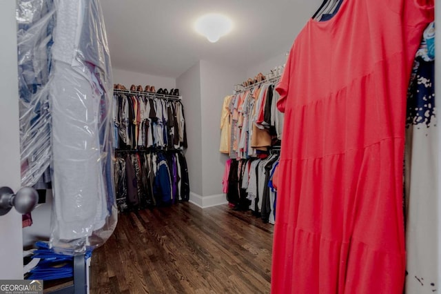 walk in closet featuring wood finished floors