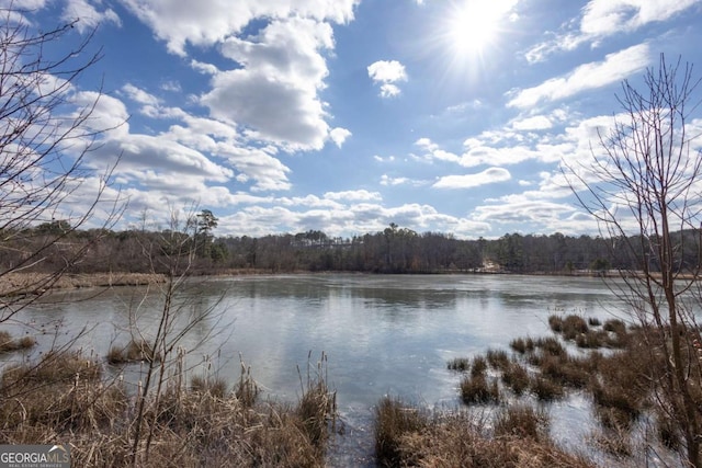 property view of water with a wooded view