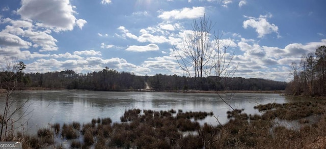 property view of water featuring a wooded view