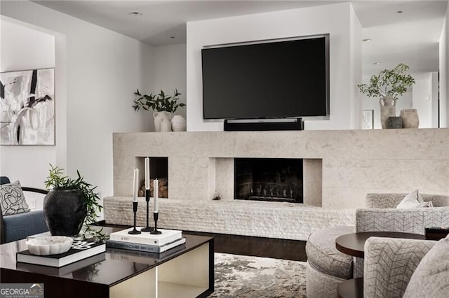 living room featuring wood finished floors and a fireplace