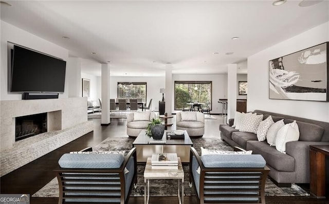 living room with a fireplace and wood finished floors