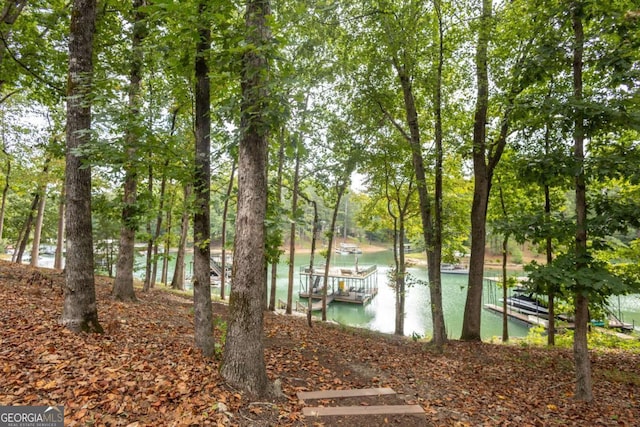 view of dock featuring a water view