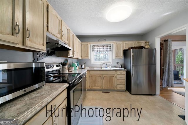 kitchen featuring under cabinet range hood, stainless steel appliances, a wealth of natural light, and light brown cabinets