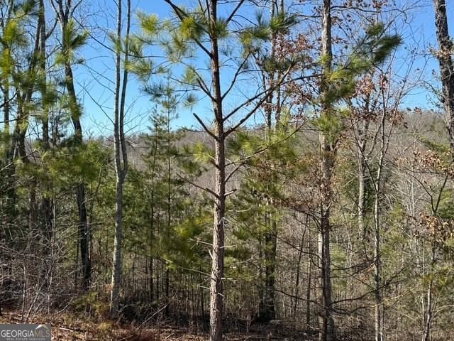 LOT11 Long View Ln, Blue Ridge GA, 30513 land for sale