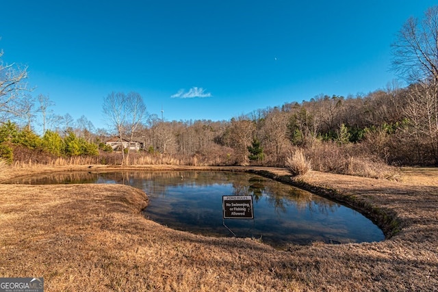 Listing photo 3 for LOT11 Long View Ln, Blue Ridge GA 30513