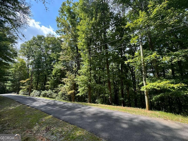 LOTM42 Sleepy Hollow Rd, Ellijay GA, 30536 land for sale