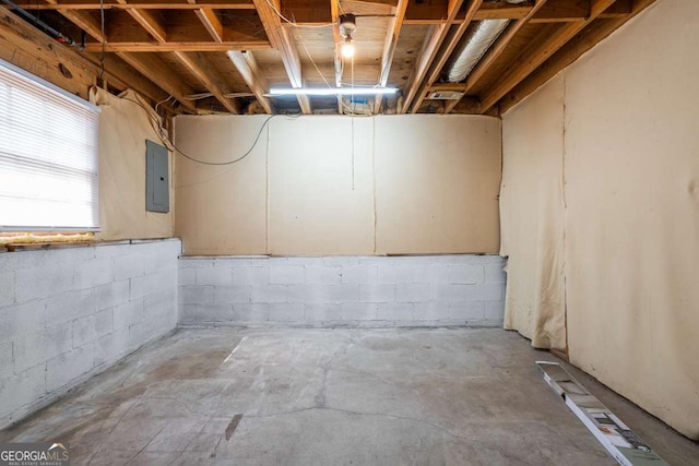 basement with electric panel