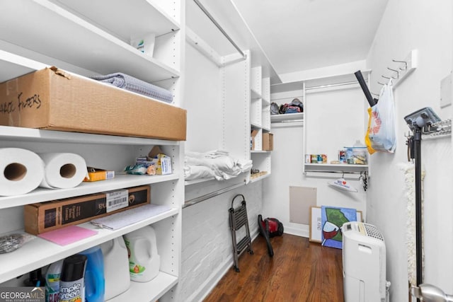 spacious closet featuring wood finished floors