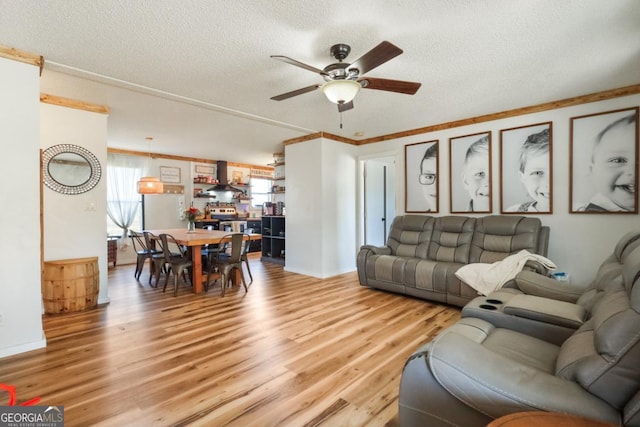 living room featuring a ceiling fan, crown molding, light wood-style floors, and a textured ceiling