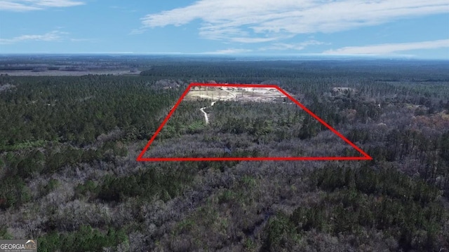 bird's eye view featuring a forest view