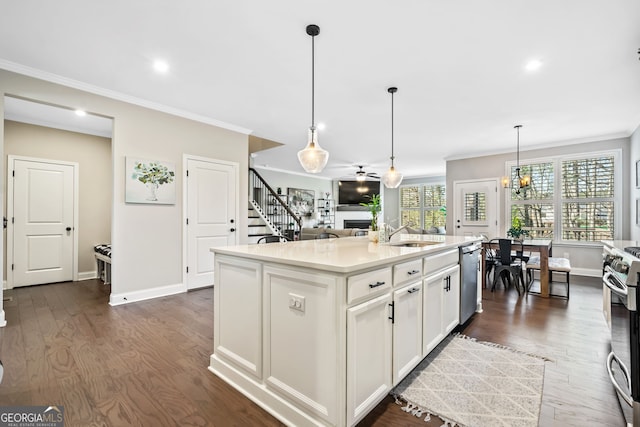 kitchen featuring dark wood-type flooring, ornamental molding, appliances with stainless steel finishes, and a sink