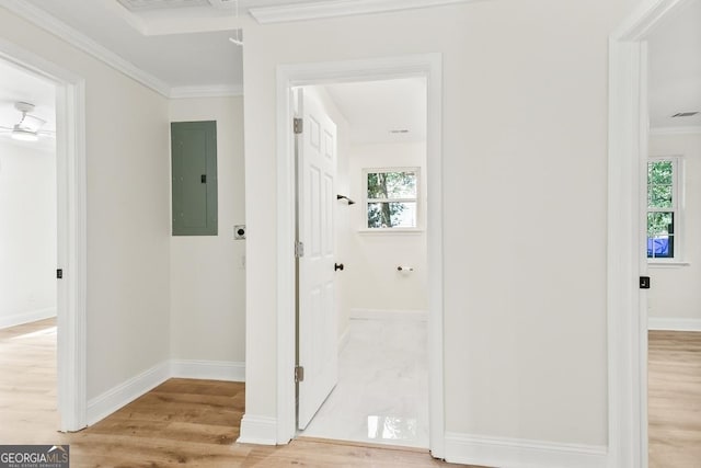 hallway with electric panel, a wealth of natural light, light wood-style floors, and ornamental molding