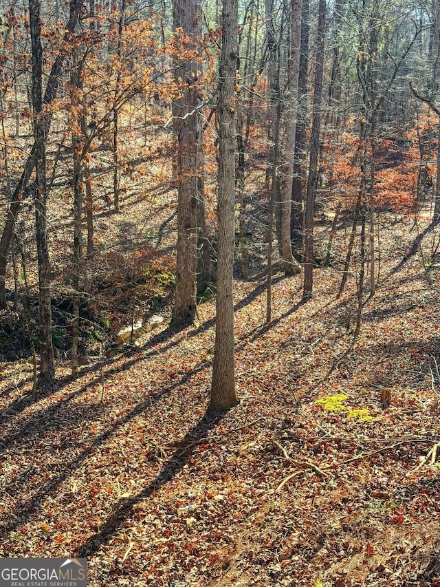 view of local wilderness featuring a view of trees