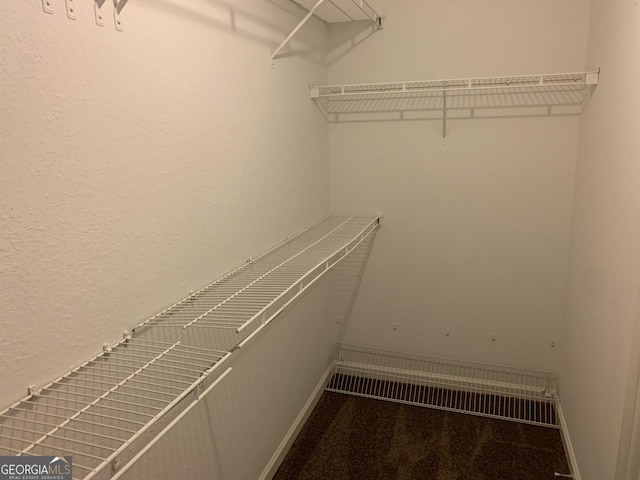 spacious closet featuring carpet floors