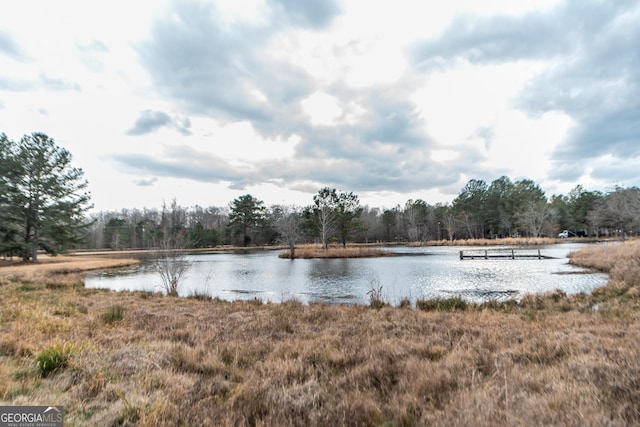 12701 Ga Highway 96 E, Fort Valley, GA 31030 - water view with a forest