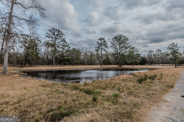 12701 Ga Highway 96 E, Fort Valley, GA 31030 - water view