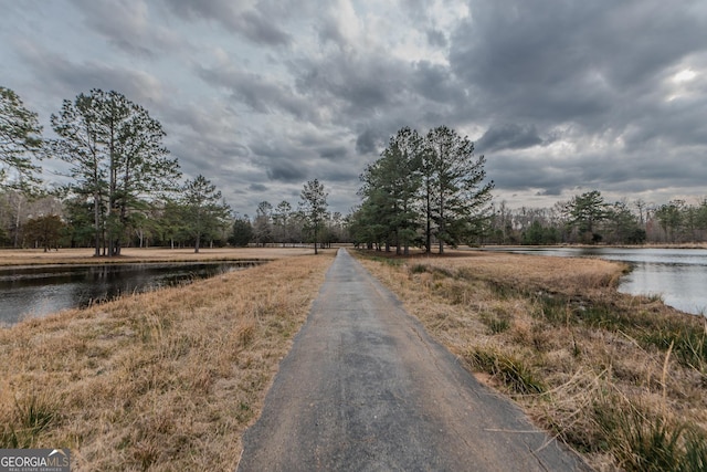 12701 Ga Highway 96 E, Fort Valley, GA 31030 - view of street featuring a water view