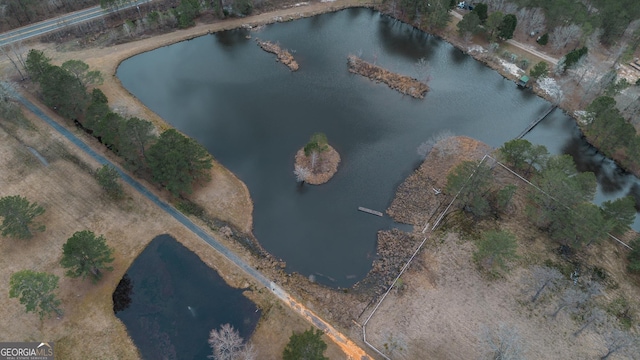 12701 Ga Highway 96 E, Fort Valley, GA 31030 - view of property location featuring a nearby body of water