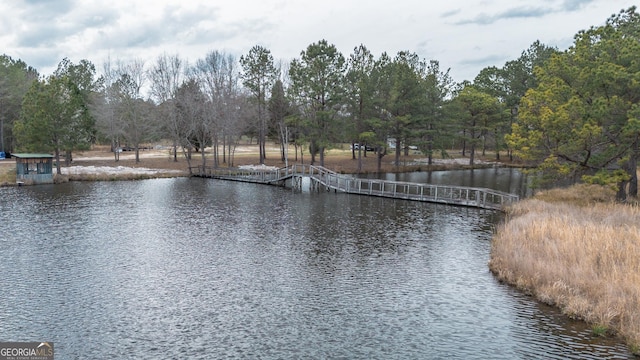 12701 Ga Highway 96 E, Fort Valley, GA 31030 - water view featuring a tree filled landscape