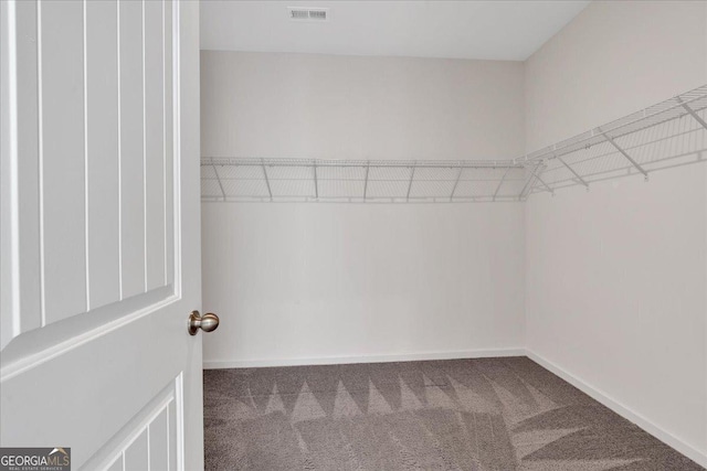 spacious closet featuring carpet flooring and visible vents