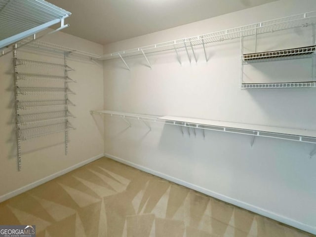 walk in closet with carpet flooring