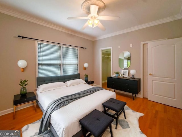 bedroom with multiple windows, a spacious closet, crown molding, and light wood finished floors