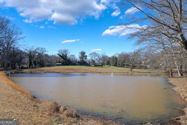 view of water feature