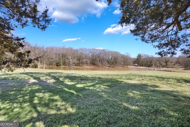 view of yard with a rural view