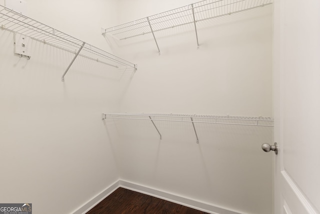 spacious closet featuring dark wood finished floors