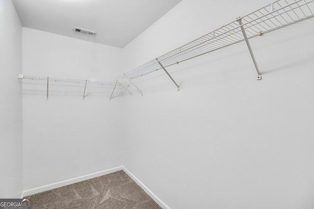 spacious closet with carpet flooring and visible vents